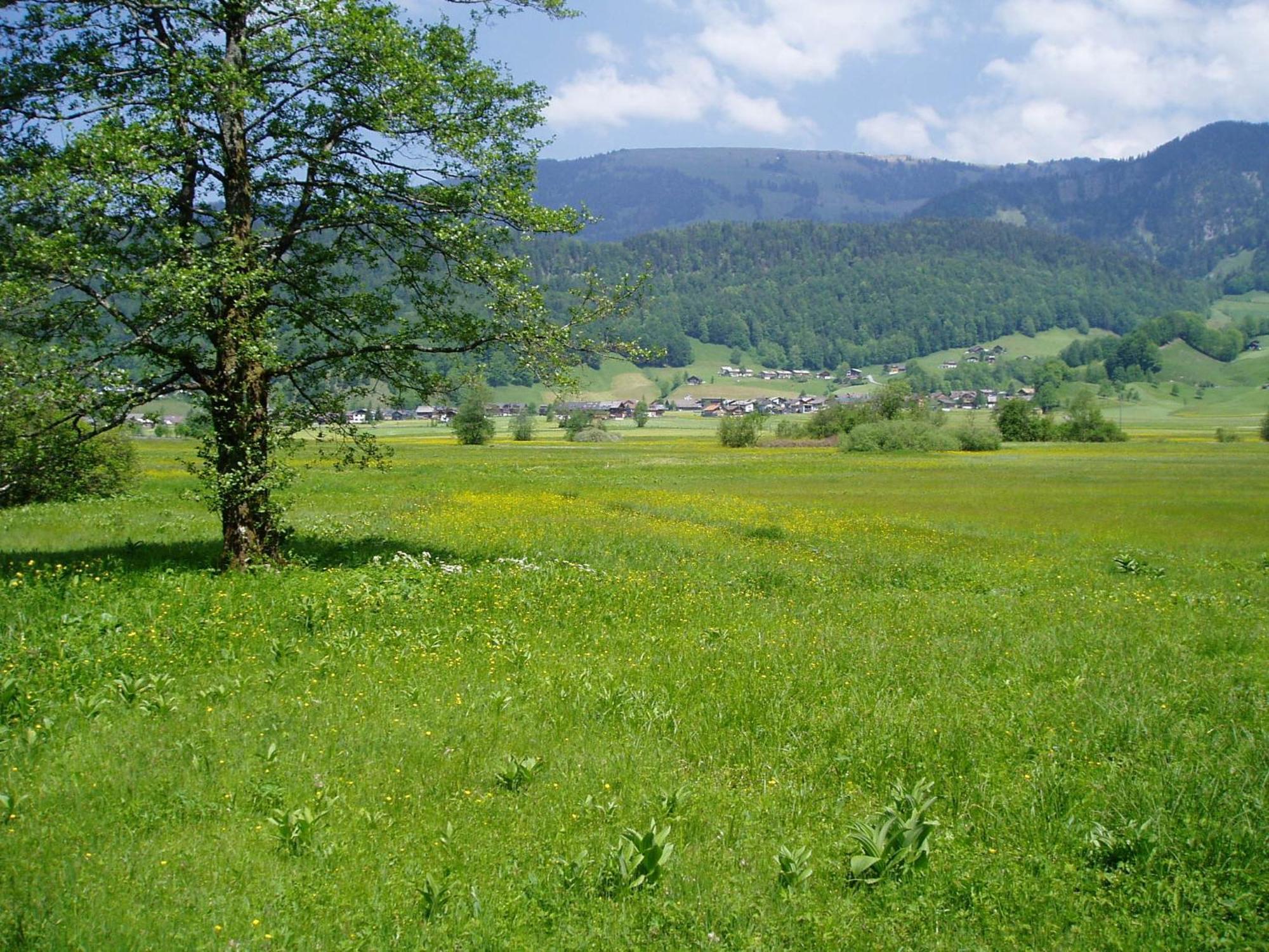 Gasthof Taube Bizau Esterno foto